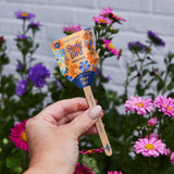 Seed Pops - Pollinator from Modern Sprout