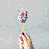 Seed Pops - Garden from Modern Sprout