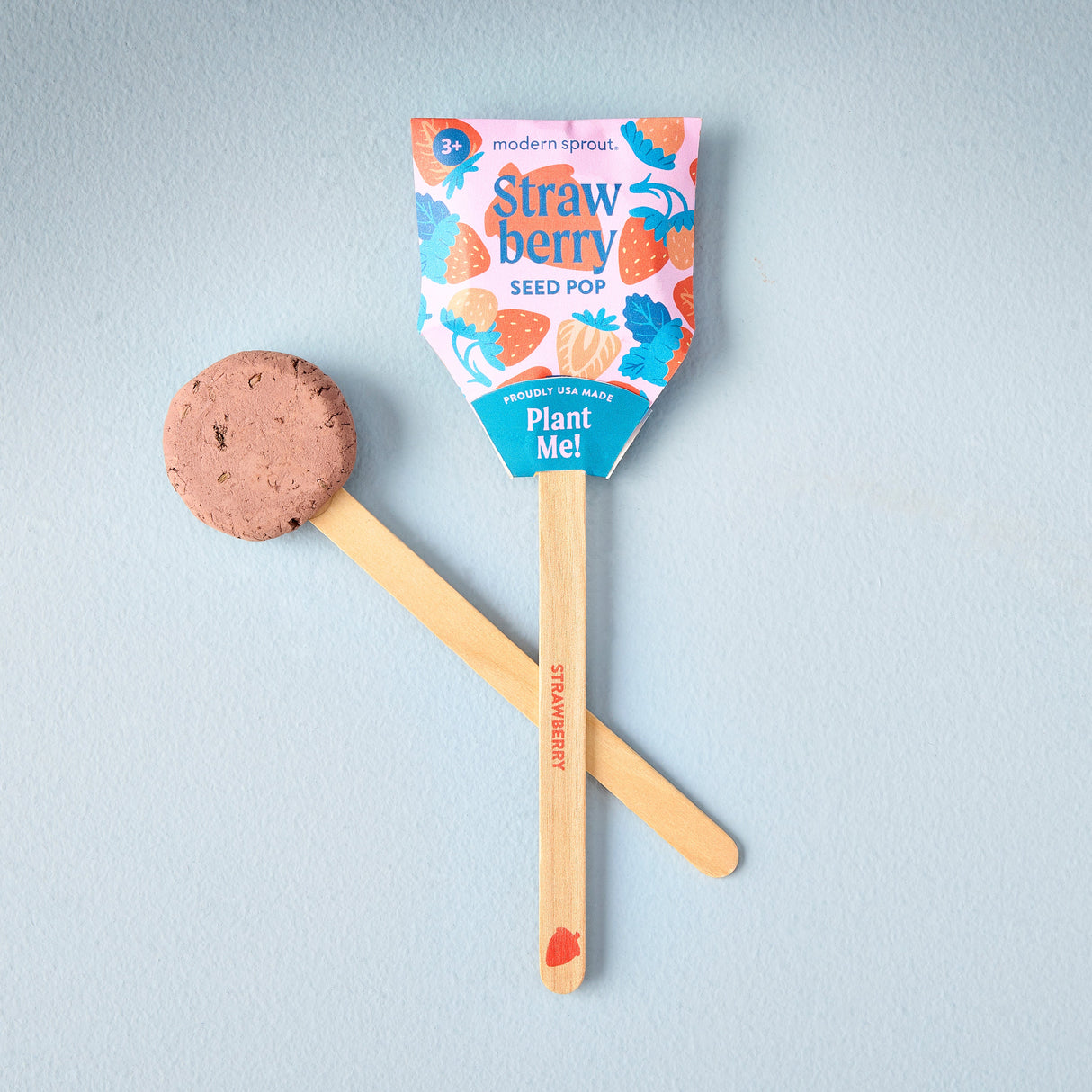 Seed Pops - Garden from Modern Sprout