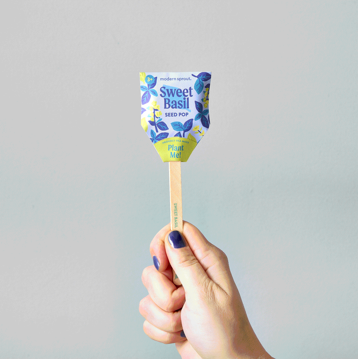 Seed Pops - Garden from Modern Sprout