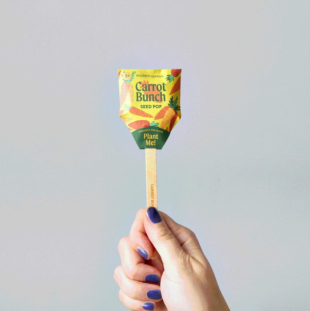 Seed Pops - Garden from Modern Sprout
