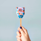 Seed Pops - Garden from Modern Sprout