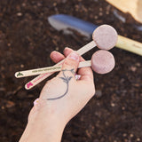 Seed Pops - Pollinator from Modern Sprout