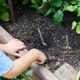 Seed Pops - Garden from Modern Sprout