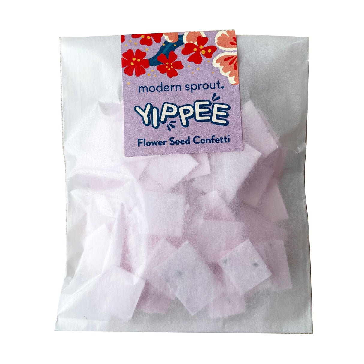 Seed Paper Confetti Refill Packs from Modern Sprout