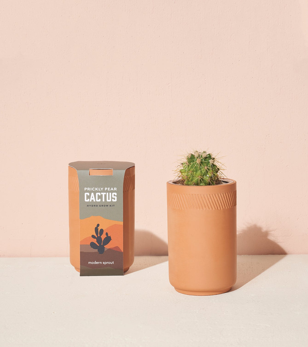 Terracotta Grow Kits from Modern Sprout