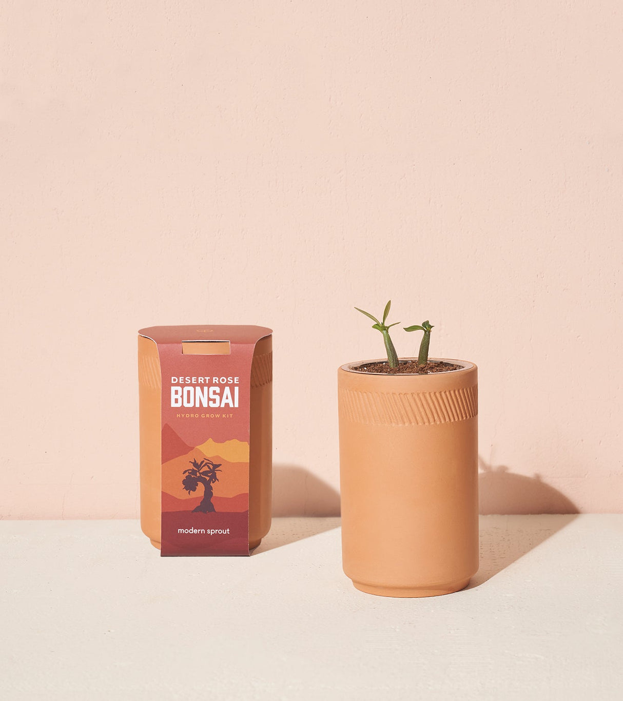 Terracotta Grow Kits from Modern Sprout