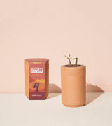 Terracotta Grow Kits from Modern Sprout
