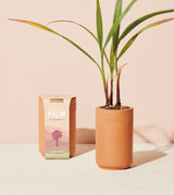 Terracotta Grow Kits from Modern Sprout