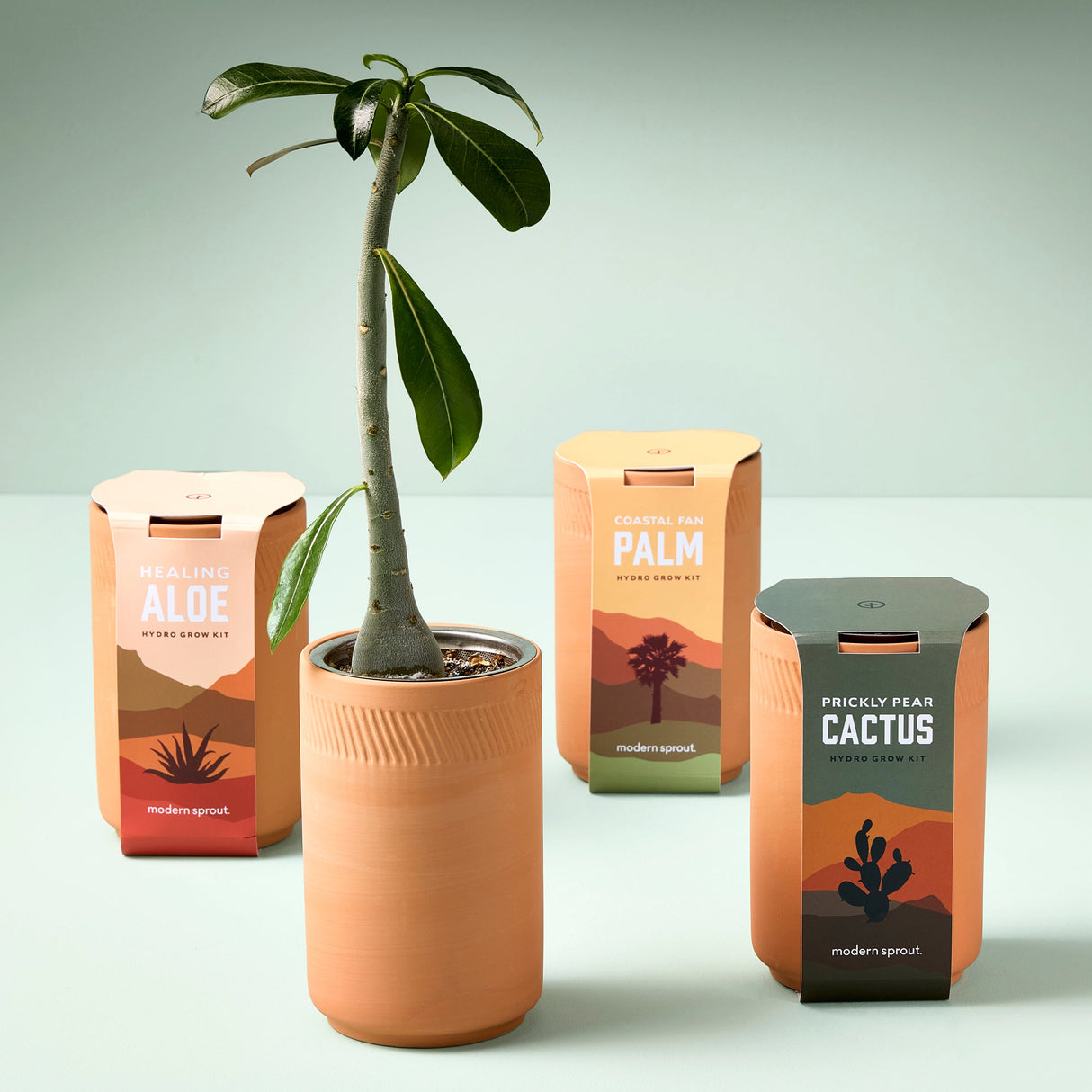 Terracotta Grow Kits from Modern Sprout