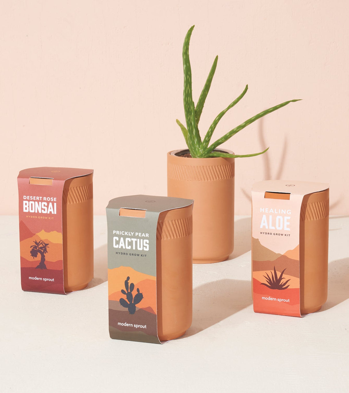 Terracotta Grow Kits from Modern Sprout