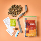 Grow Kit - Replant Kit from Modern Sprout