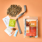 Grow Kit - Replant Kit from Modern Sprout