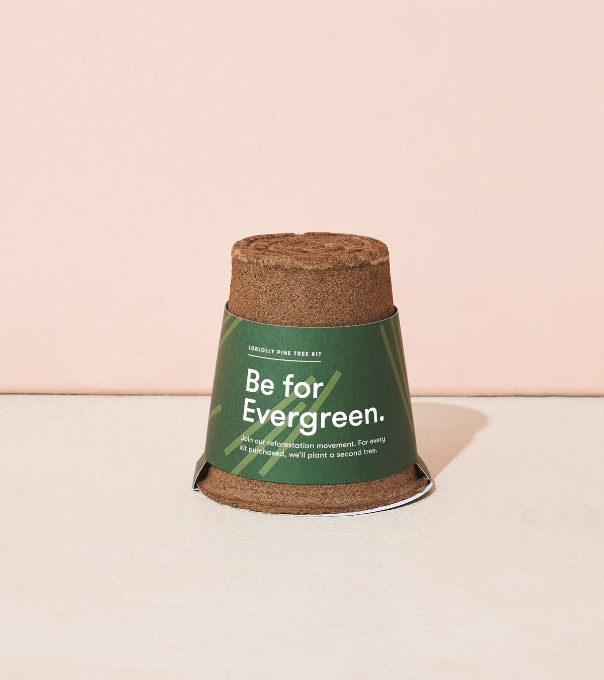 One-For-One Tree Kits from Modern Sprout