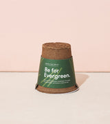 One-For-One Tree Kits from Modern Sprout