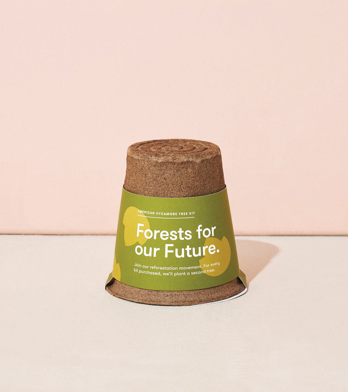 One-For-One Tree Kits from Modern Sprout