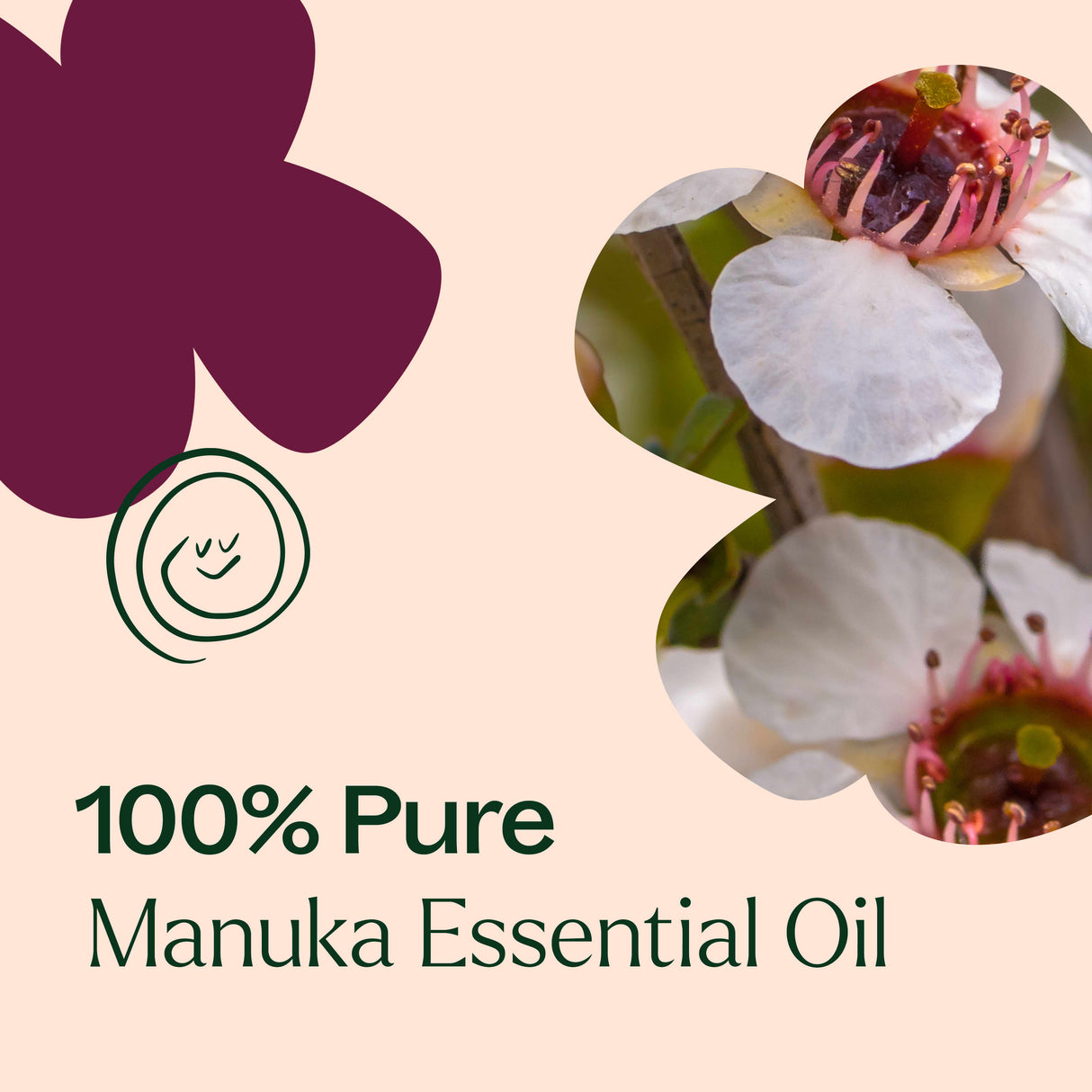 Manuka Essential Oil from Plant Therapy