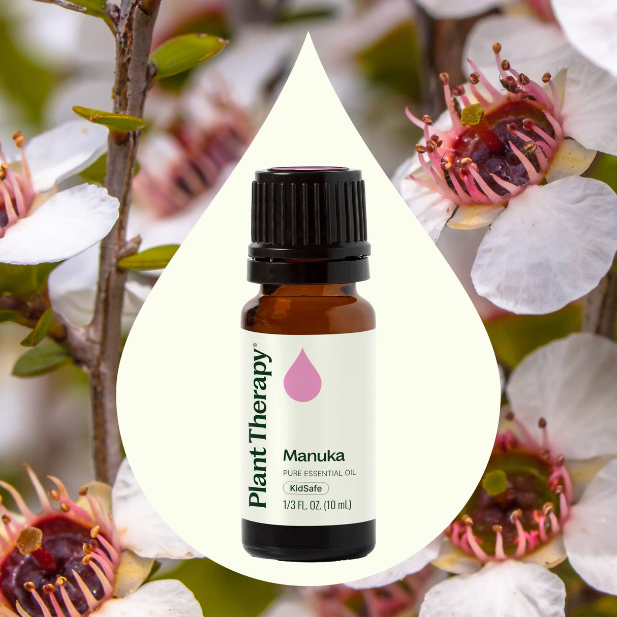 Manuka Essential Oil from Plant Therapy