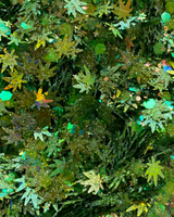 Mary Jane - Chunky Green Leaf Glitter from Lunautics