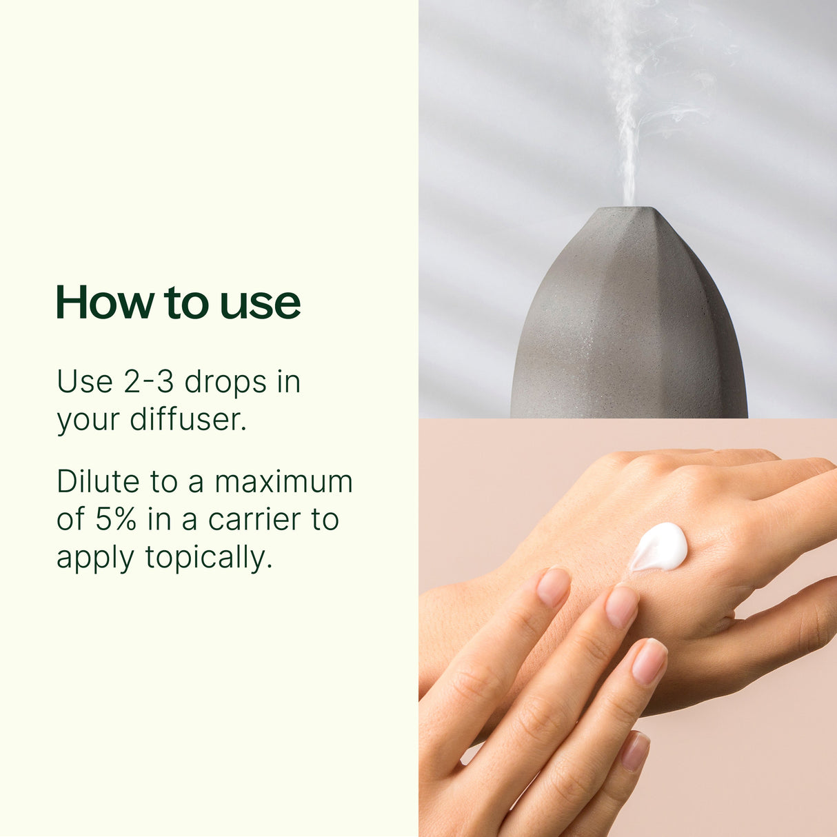 Meditation Essential Oil Blend from Plant Therapy