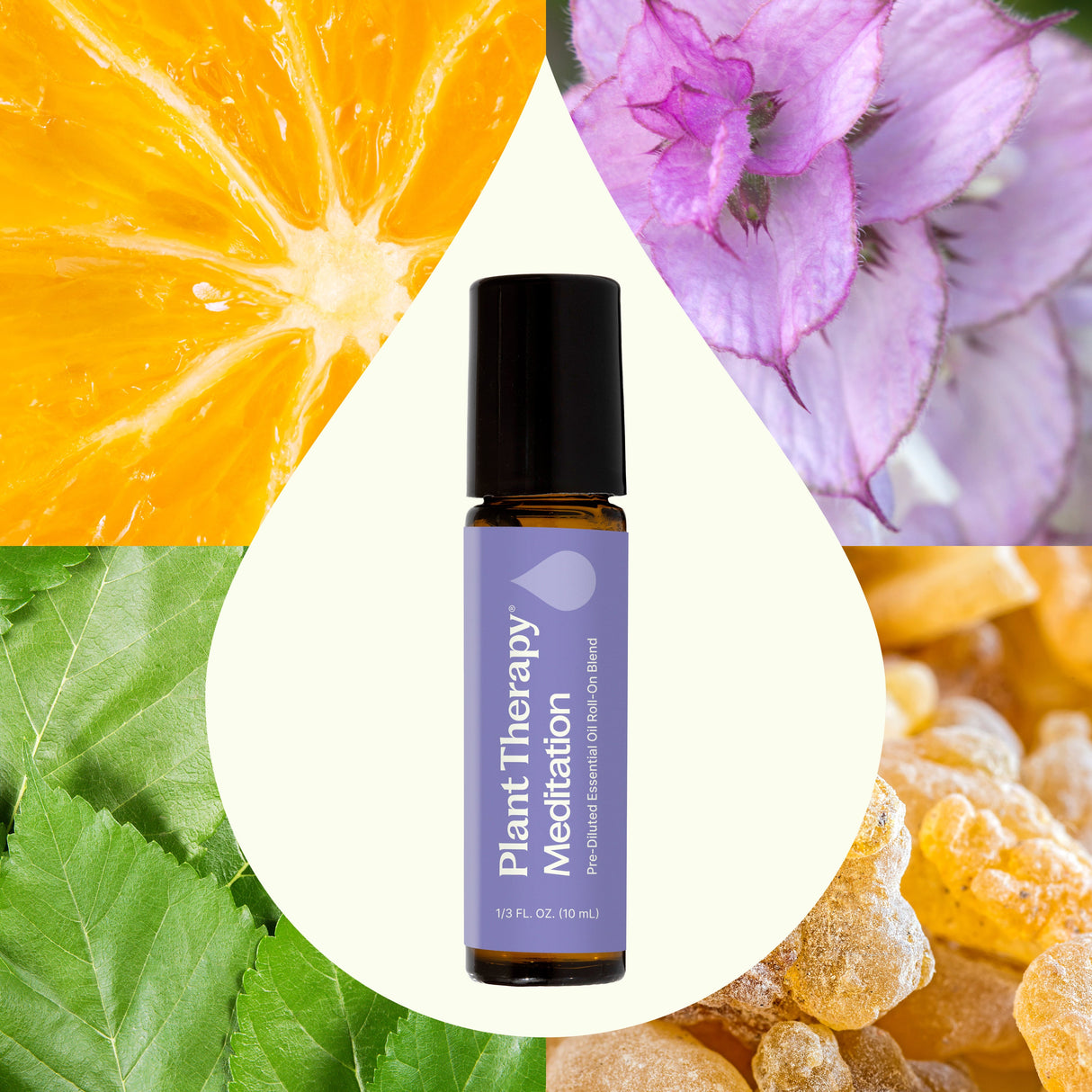 Meditation Essential Oil Blend Pre-Diluted Roll-On from Plant Therapy