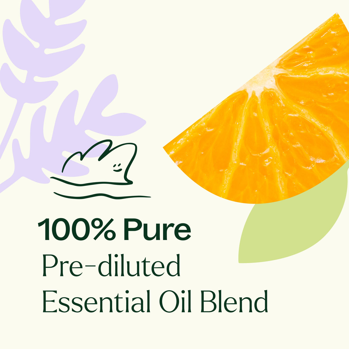Meditation Essential Oil Blend Pre-Diluted Roll-On from Plant Therapy