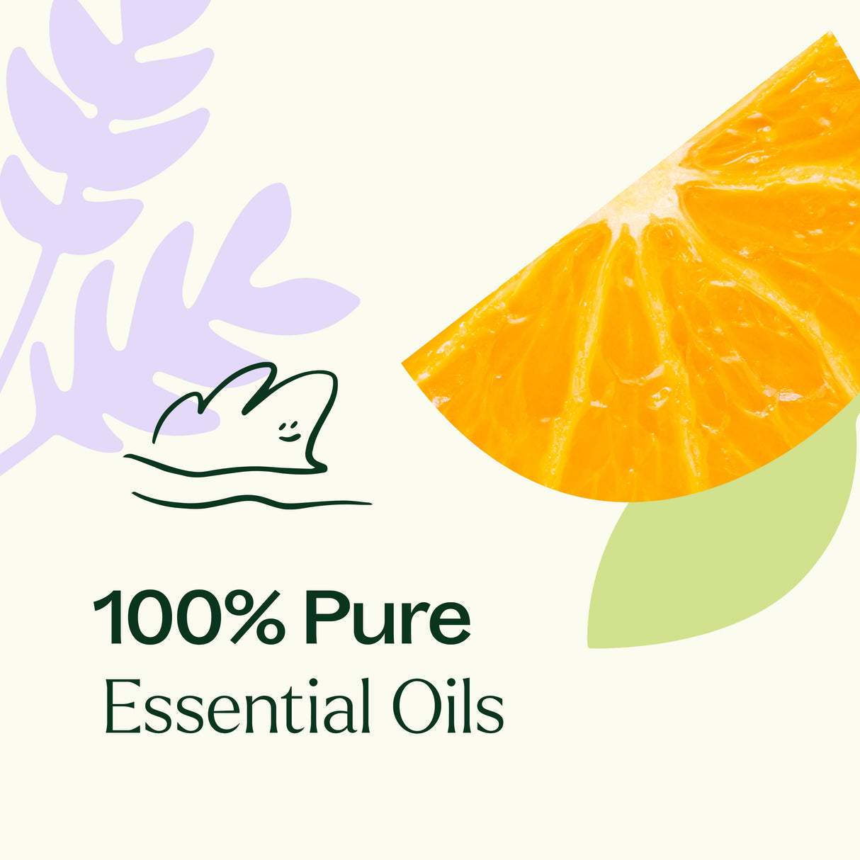 Meditation Essential Oil Blend from Plant Therapy