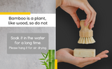 Bamboo Sisal Fiber Dish Brush from Choixe