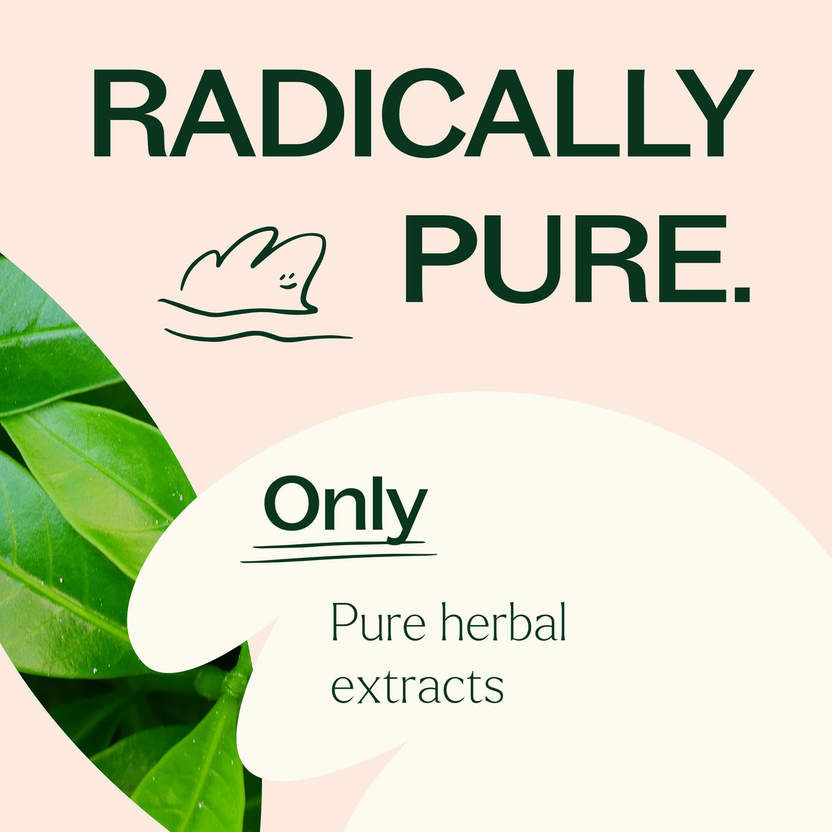 Metabolism Boost Herbal Supplement - 120 Capsules from Plant Therapy