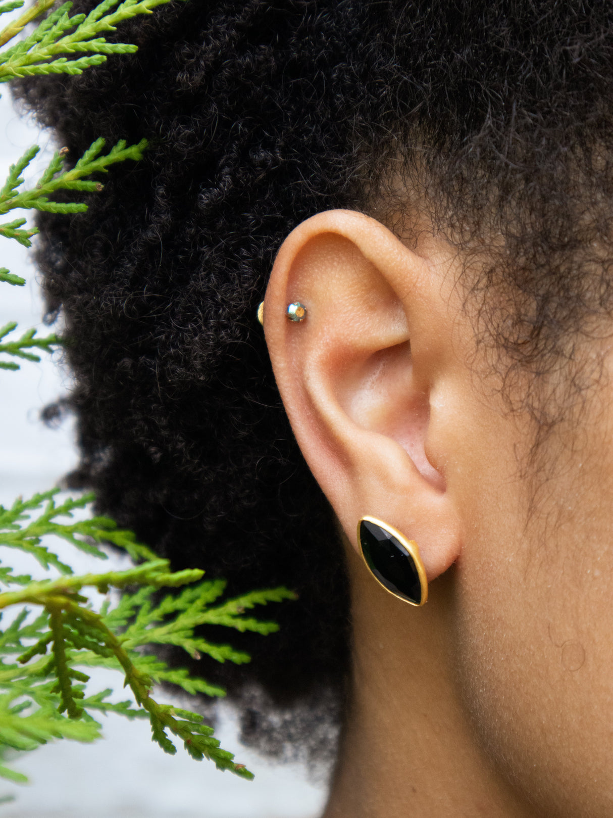 Mila Leaf Earrings - Gold from Ash & Rose