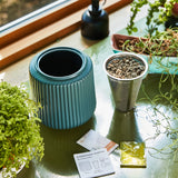 Flower Grow Kits from Modern Sprout