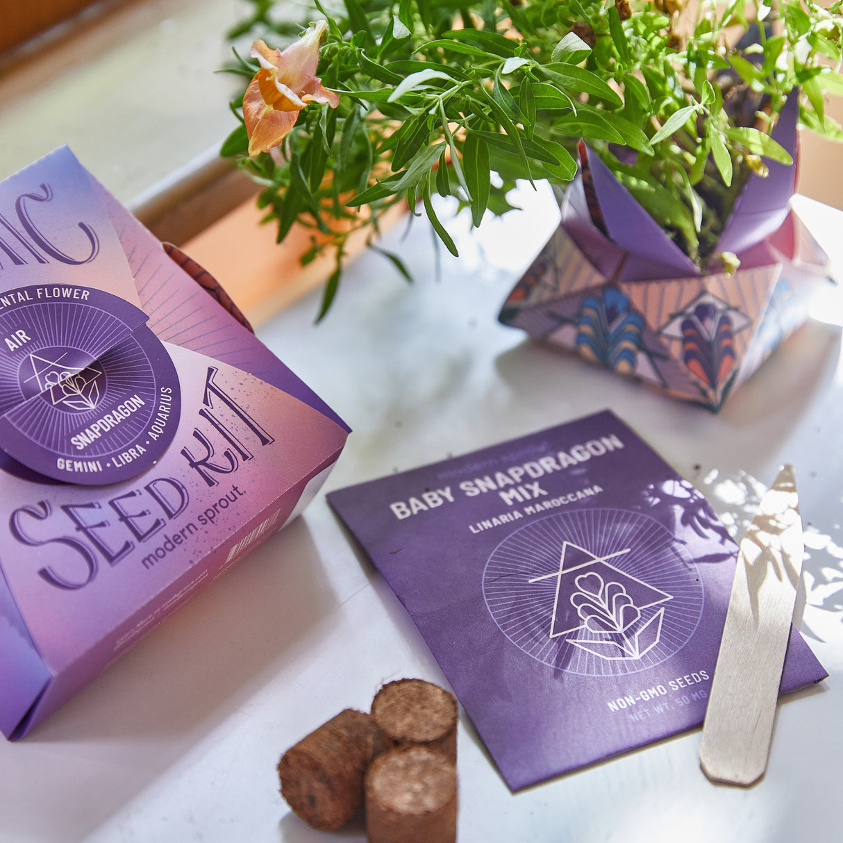 Cosmic Seed Kits from Modern Sprout