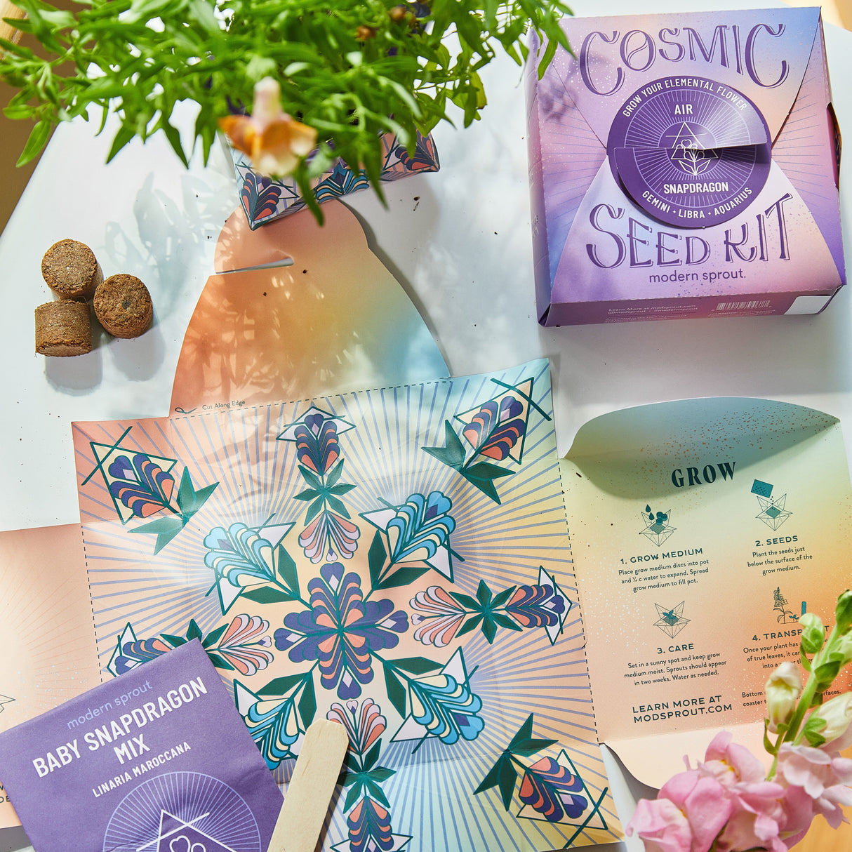 Cosmic Seed Kits from Modern Sprout