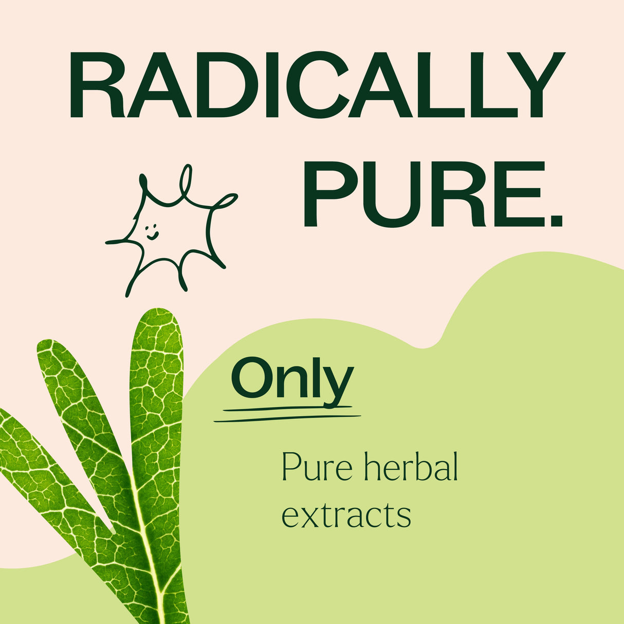 Moringa Herbal Supplement - 120 Capsules from Plant Therapy