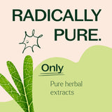 Moringa Herbal Supplement - 120 Capsules from Plant Therapy