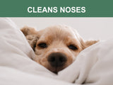 Mr. Peanut's Naturals Plant Based, Flushable, Compostable, Unscented Pet Wipes, 160 Count, Larger 8x6" Size from Mr. Peanut's Pet Carriers