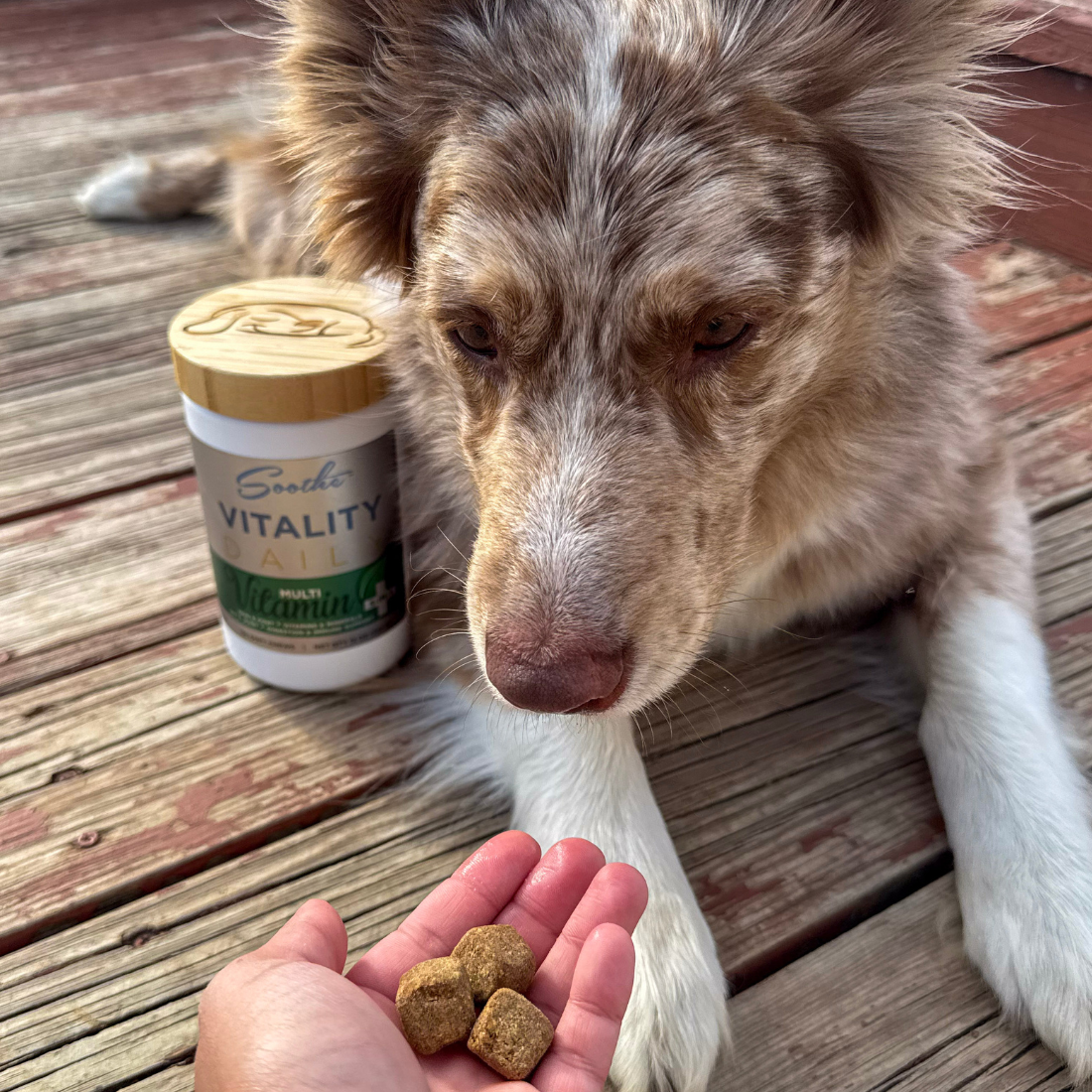 Soothe Vitality Daily Multi Vitamin for Dogs From buddyrest.com