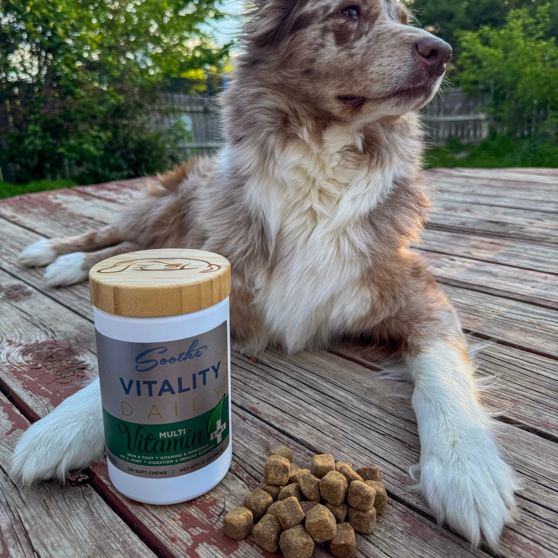 Soothe Vitality Daily Multi Vitamin for Dogs From buddyrest.com