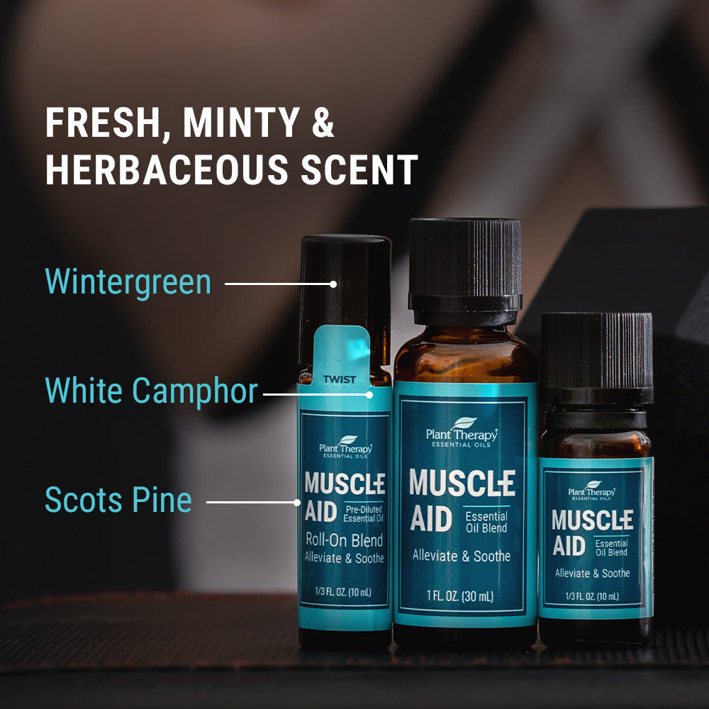Muscle Aid Essential Oil Blend from Plant Therapy