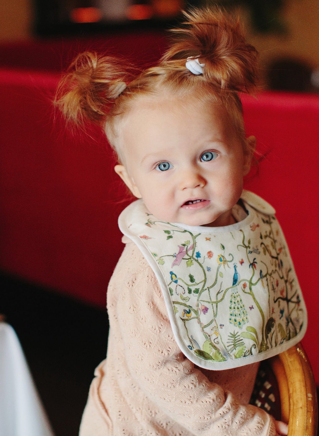 Tropical Chinoiserie Bib from Timo & Violet