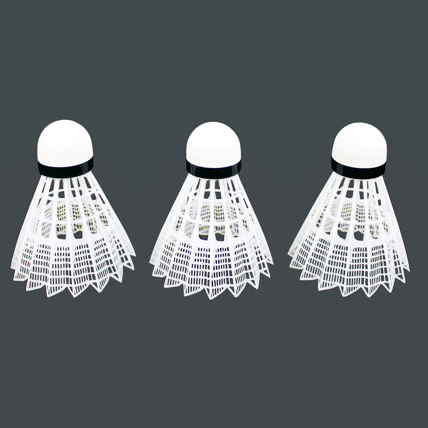 Champions Badminton Set from Baden Sports