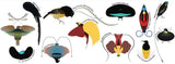 Birds-of-Paradise Mug from New York Puzzle Company