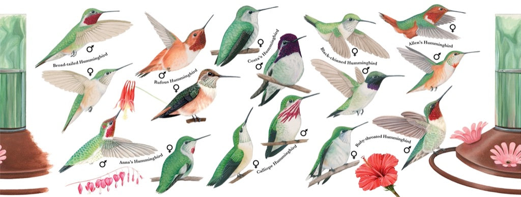 Hummingbirds Mug from New York Puzzle Company