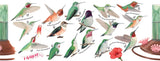 Hummingbirds Mug from New York Puzzle Company
