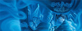 Order of the Phoenix Mug from New York Puzzle Company