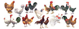 Chickens ~ Poules Mug from New York Puzzle Company