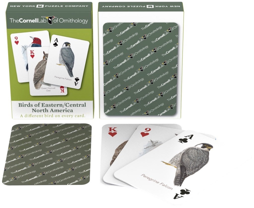 Birds of Eastern/Central North America Playing Cards From New York Puzzle Company