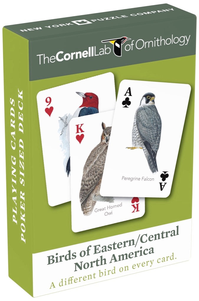 Birds of Eastern/Central North America Playing Cards From New York Puzzle Company