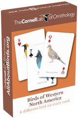 Birds of Western North America Playing Cards from New York Puzzle Company
