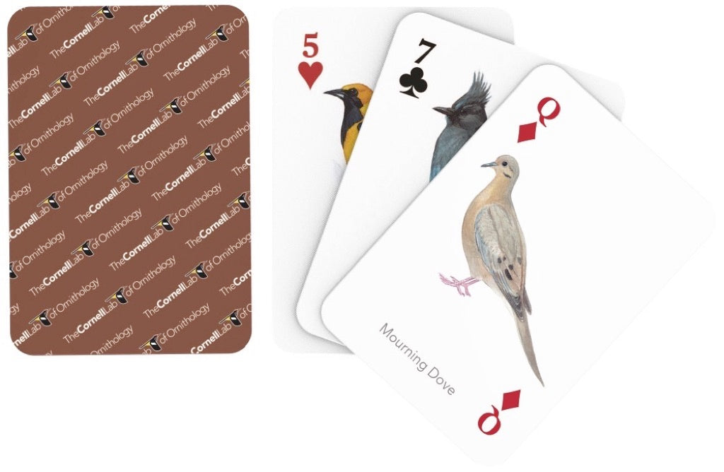 Birds of Western North America Playing Cards from New York Puzzle Company